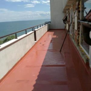 Снимка  от ВАСИЛ ЯНАКИЕВ