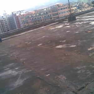 Снимка  от Петър Илиев