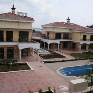 Снимка  от Мирослав Тонев