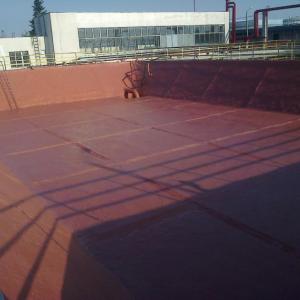 Снимка  от ВАСИЛ ЯНАКИЕВ