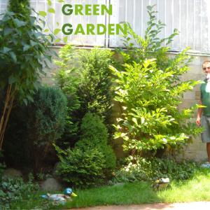 Снимка  от Ивайло Петров