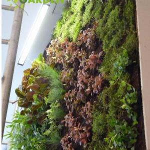 Снимка  от Ивайло Петров