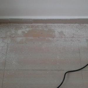 Снимка  от Илиян Шушоров