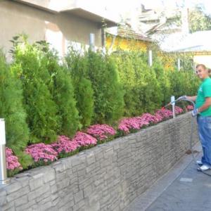 Снимка  от Ивайло Петров