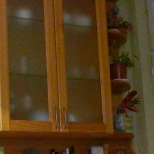 Снимка  от Йордан Димов