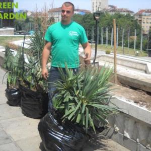 Снимка  от Ивайло Петров