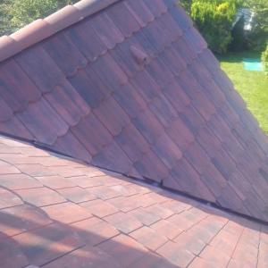 Снимка  от Ангел Ангелов