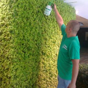 Снимка  от Ивайло Петров