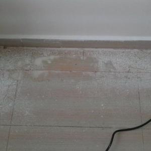 Снимка  от Илиян Шушоров