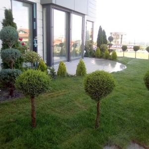 Царско село