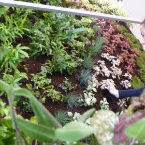 Снимка  от Ивайло Петров