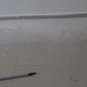 Снимка  от Илиян Шушоров