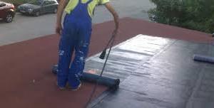 Снимка  от румен величков