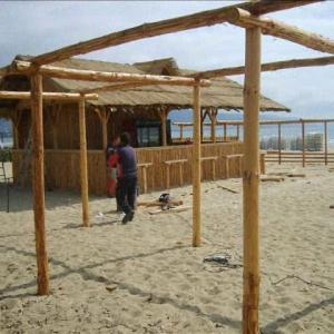 Снимка  от Добри Ганчев