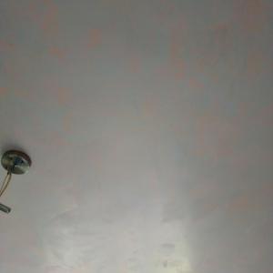 Декоративна двуцветна гланц,сьонга