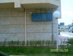 Снимка  от Добри Пищронов