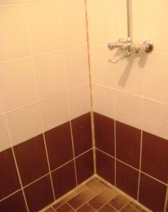 Снимка  от Иван Иванов