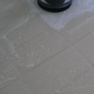 Снимка  от Илиян Шушоров