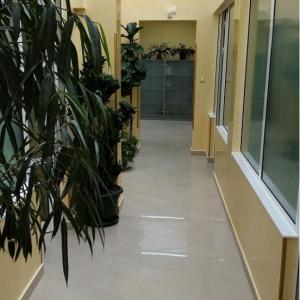 Оберлихт и венециано