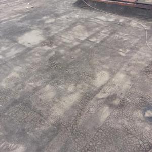 Снимка  от Първан Божилов