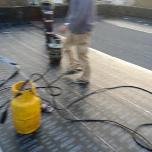 Снимка  от Първан Божилов