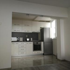 Цялостен ремонт чайка