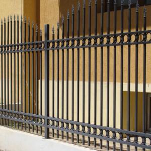 Снимка  от Росен Павлов