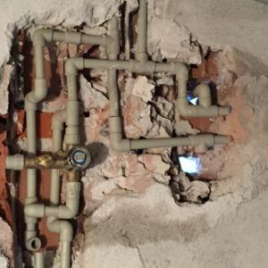 Снимка  от Цветомир Йотов