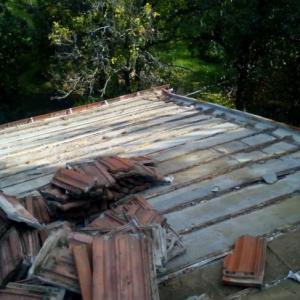 Снимка  от Желязко Тодоров