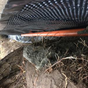 Снимка  от Цветомир Йотов