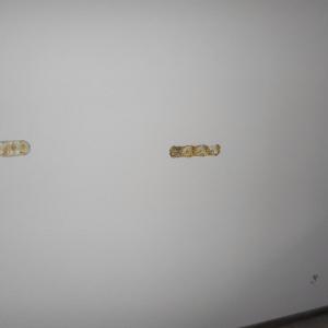 Работни моменти