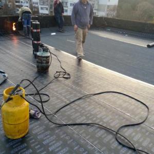 Снимка  от Първан Божилов