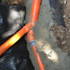 Снимка  от Цветомир Йотов