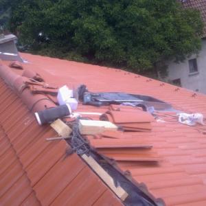 Снимка  от Желязко Тодоров