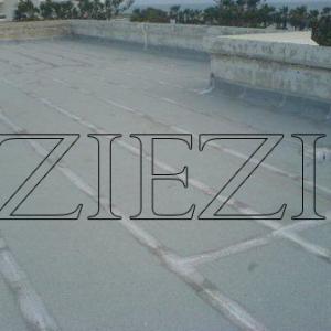 Снимка  от Методи Стоянов