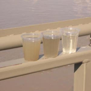 Снимка  от ЕИС ООД Димитров