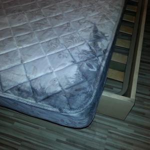 Снимка  от Цветелина Богданова