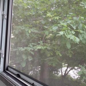 Ролетен комарник двоен