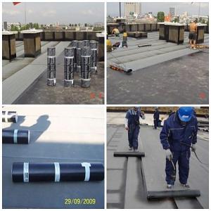 Снимка  от Георги Коцев