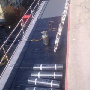 Снимка  от Желязко Тодоров