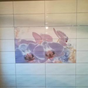 Фаянс на баня