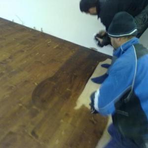 Снимка  от ЖИВКО ДИМИТРОВ