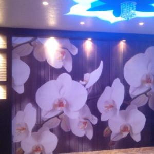 Снимка  от Драгомир Митов