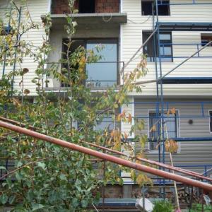 Снимка  от Стоил Иванов