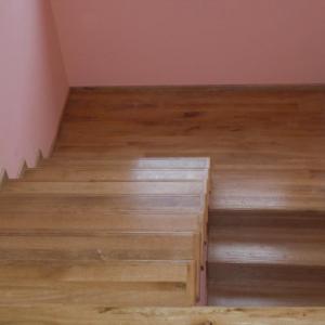 Снимка  от Николай Георгиев