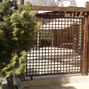 Снимка  от Тодор Георгиев