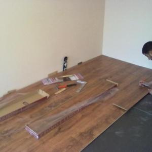 Снимка  от ЖИВКО ДИМИТРОВ