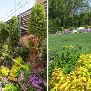 Поддръжка на частен двор кв. Симеоново