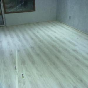 Снимка  от ЖИВКО ДИМИТРОВ