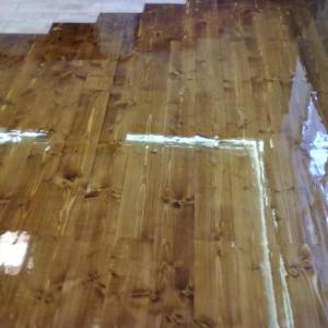 Снимка  от ЖИВКО ДИМИТРОВ